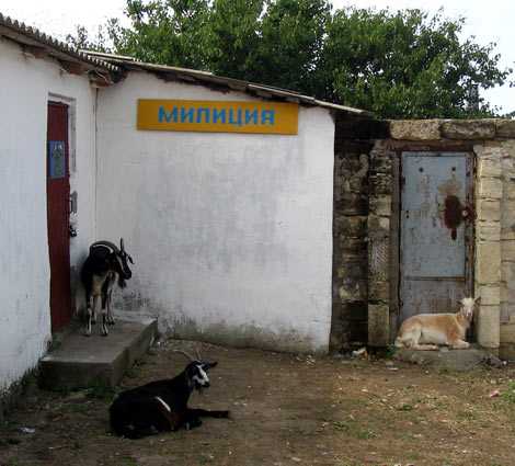 Прикрепленное изображение