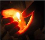 buxus999 фотография